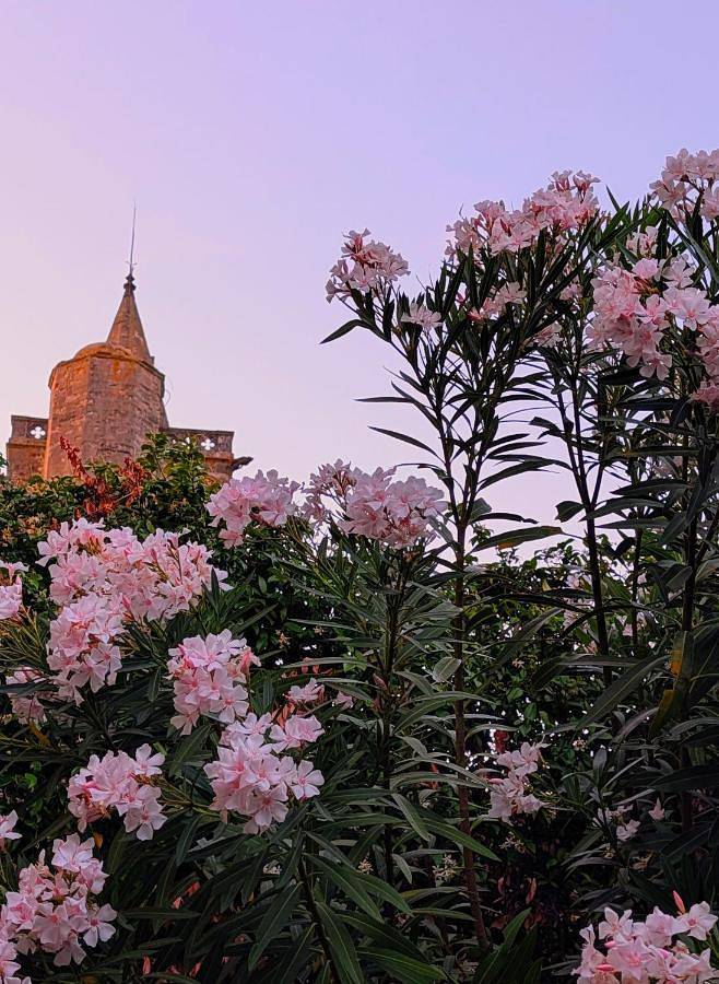 Séjour Détente avec son spa privatif proche de la Cité de Carcassonne et du Canal du Midi in Pexiora, Région de Carcassonne