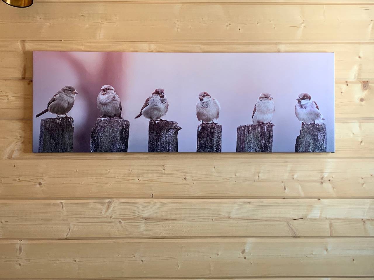 Lodge Klausdorf in Klausdorf, Stralsund Umland