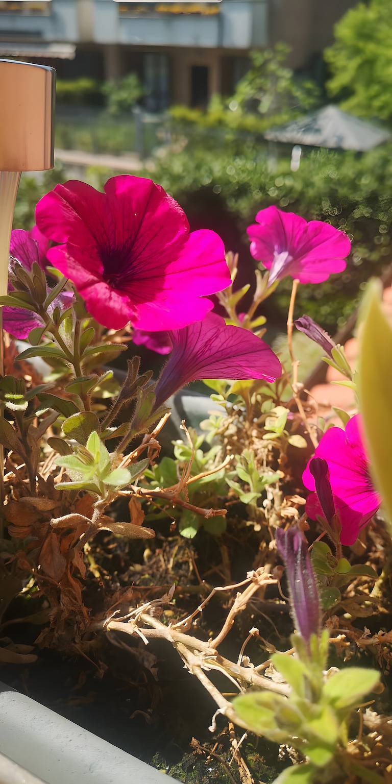 Appartamento intero, Appartamento 'Rita' con Vista Montagna, Giardino Privato e Wi-Fi in Pozza di Fassa, San Giovanni di Fassa