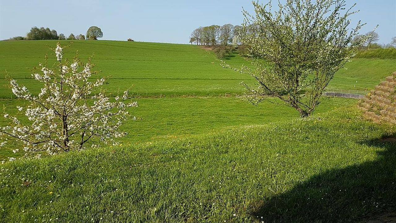 Ganze Ferienwohnung, Ferienwohnung für 4 Personen (60 m²) in Losheim Am See in Losheim am See, Saar-Nahe-Bergland