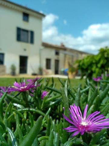 Chambre d’hôte pour 2 personnes, avec jardin dans Saône-et-Loire