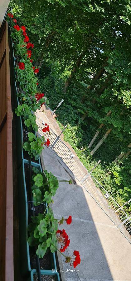 Ferienhaus für 2 Personen, mit Balkon und Terrasse sowie Garten und Ausblick in Schiefling am See - 3