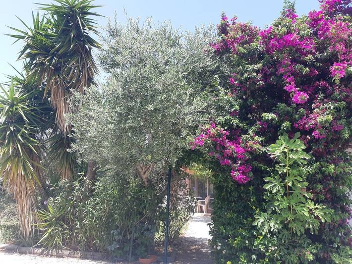 Location de vacances pour 8 personnes, avec Terrasse ainsi que Jardin et Vue à Saint-André - 2