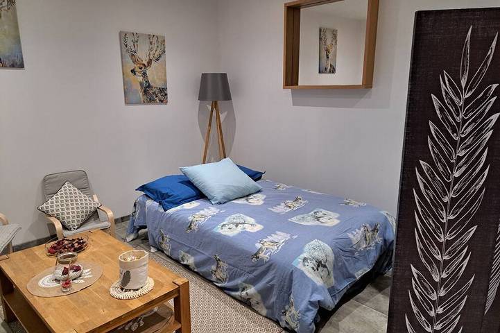 Location de vacances pour 8 personnes, avec terrasse à Pierre-de-Bresse - 3