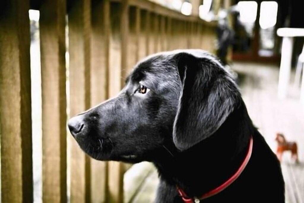 »Kommen Sie und finden Sie ein kleines Paradies...« in Kerikeri, Northland