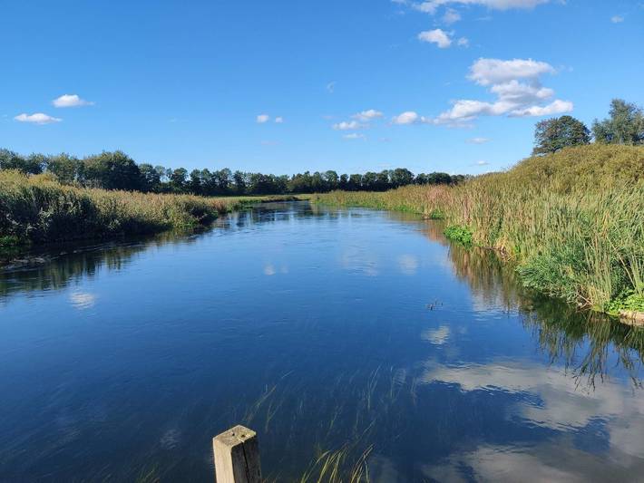 Ferienhaus für 5 Personen, mit Terrasse und Pool sowie Garten, kinderfreundlich in Silkeborg - 4