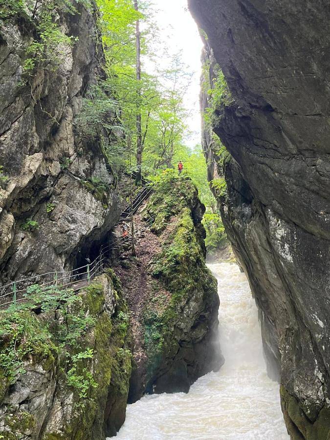 Gîte pour 4 personnes, avec jardin et terrasse, animaux acceptés dans Areuse - 4