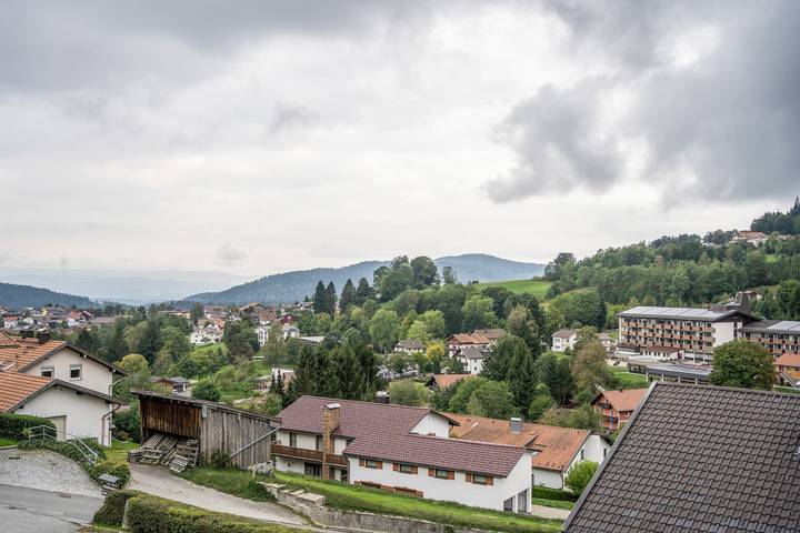 Entire apartment, Zellertalblick Holiday Apartment with Balcony in Bodenmais, Eastern Bavaria