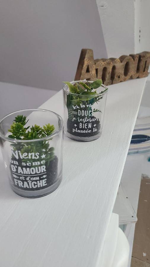 Location de vacances pour 2 personnes, avec jardin ainsi que terrasse et vue à Le Ferré - 2