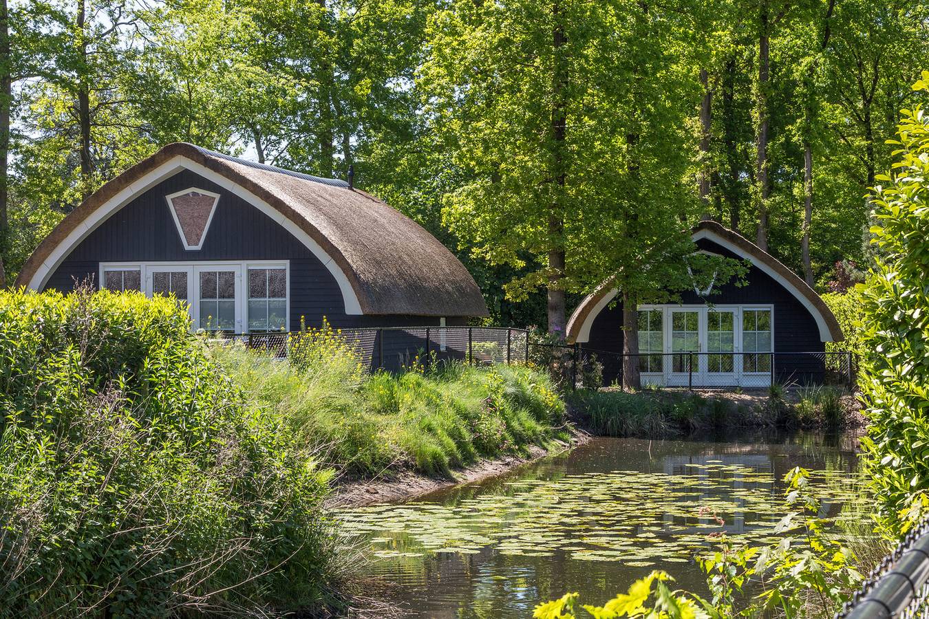 Vakantiehuis voor 6 Personen in De Bult, Nationaal Park Weerribben-Wieden