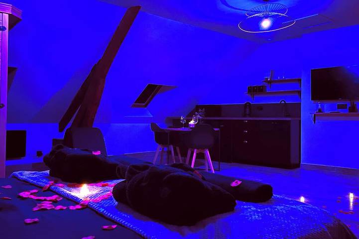 Appartement de vacances pour 2 personnes, avec sauna et jacuzzi, animaux acceptés dans Seine-et-Marne - 3