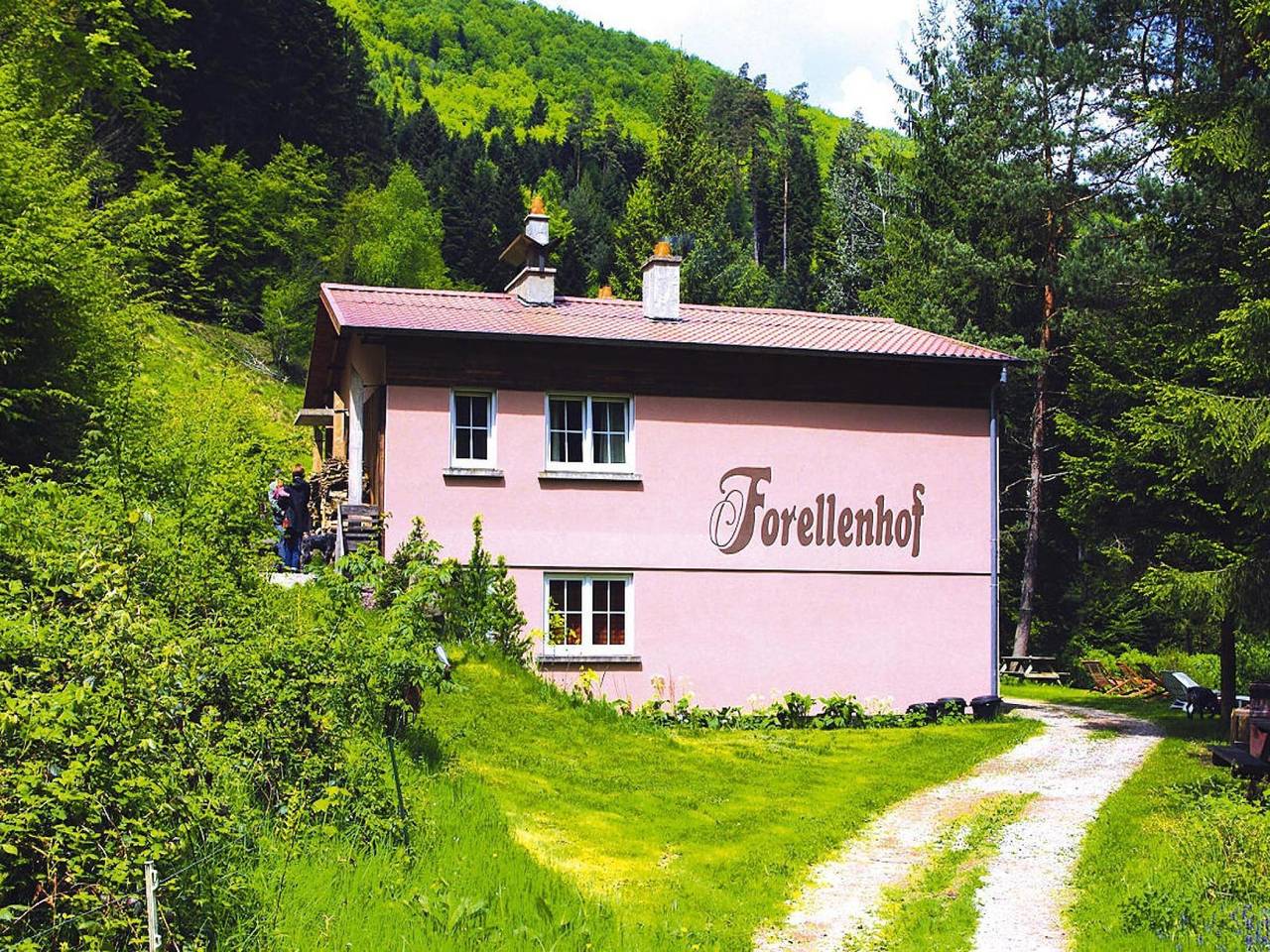 Appartement entier, Appartement en Alsace au cœur de la nature in Dabo, Sarrebourg