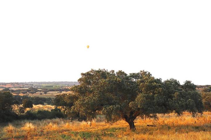 Chalet para 3 personas, con jardín además de vistas y piscina en Alentejo - 3