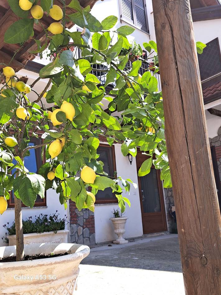 Location de vacances pour 3 personnes, avec jardin à Agerola - 2