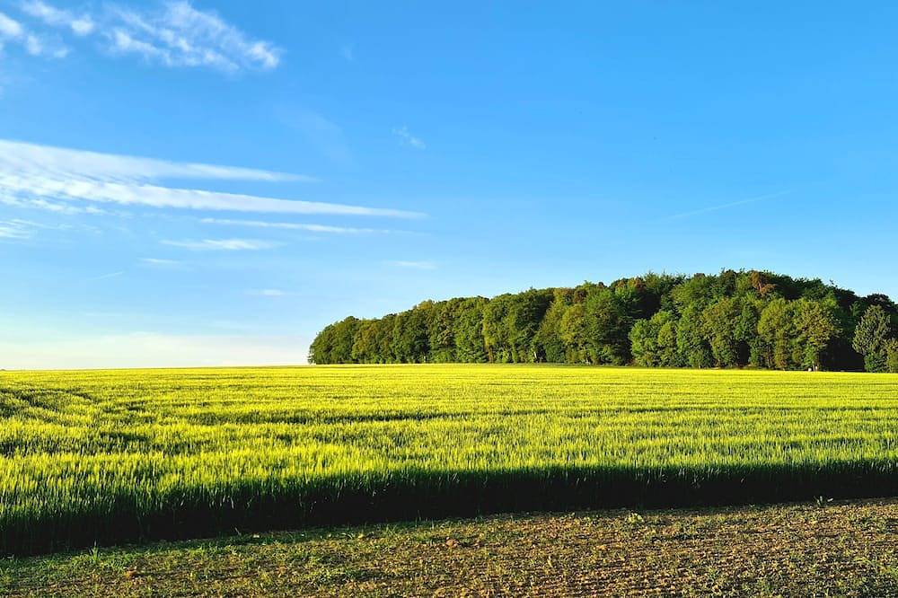 Ganze Wohnung, Wohnen am jungen Wald in Buch, Hunsrück