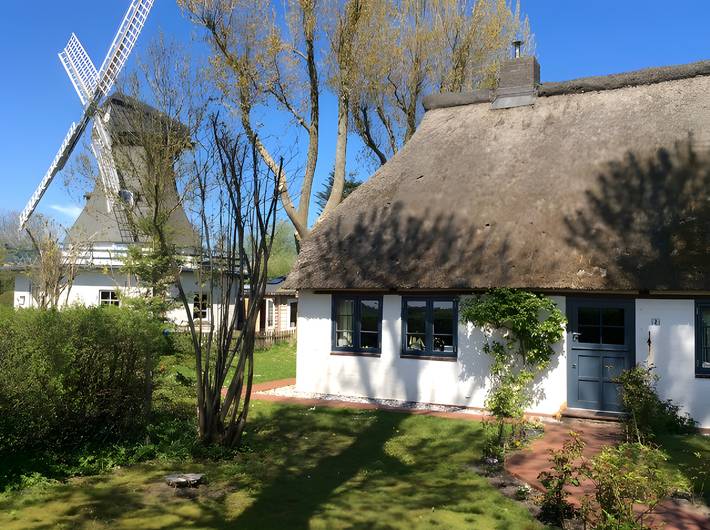 Ferienhaus für 6 Personen, mit Garten, mit Haustier in Dithmarschen - 2