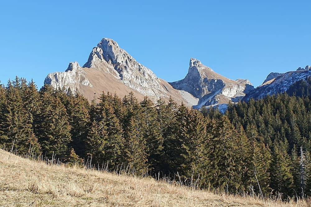 Appartement entier, Charmant studio à la montagne dans les Portes du Soleil in Abondance, Les Portes du Soleil
