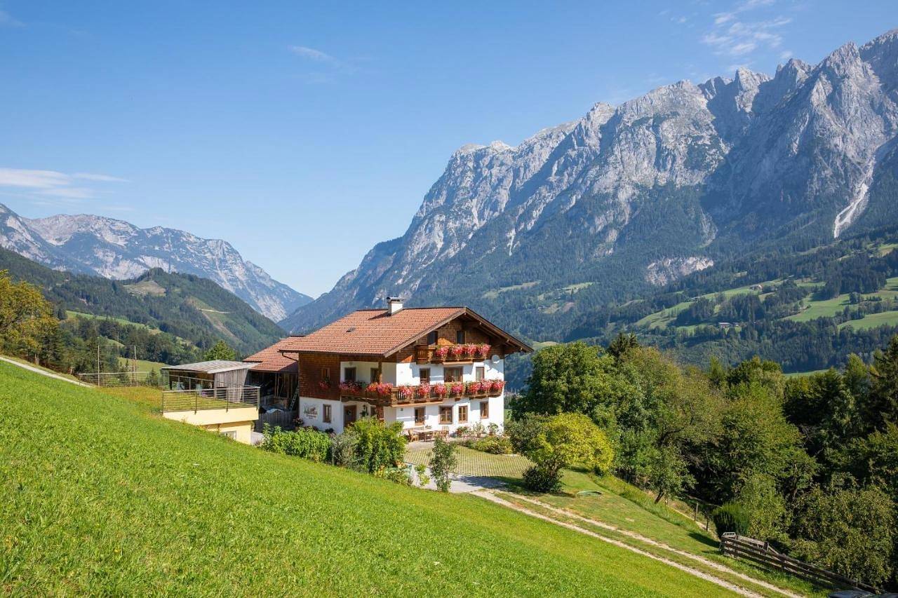 Ganze Wohnung, Unterschwabegghof in Hochkönigstock, Werfen