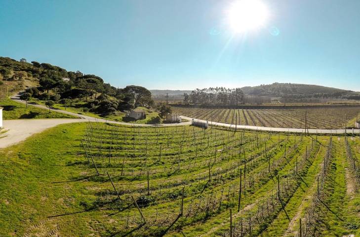 Casa rural para 2 personas, con vistas y jardín en Óbidos - 4
