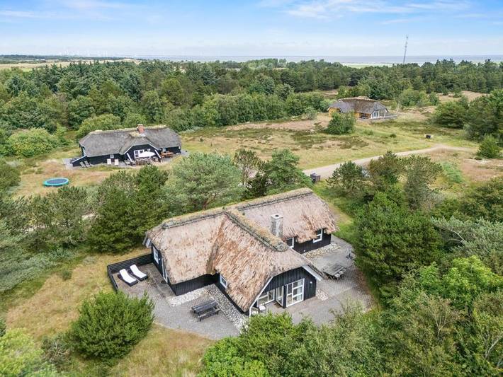 Ferienhaus für 8 Personen, mit Balkon/Terrasse und Whirlpool sowie Sauna auf Fanø
