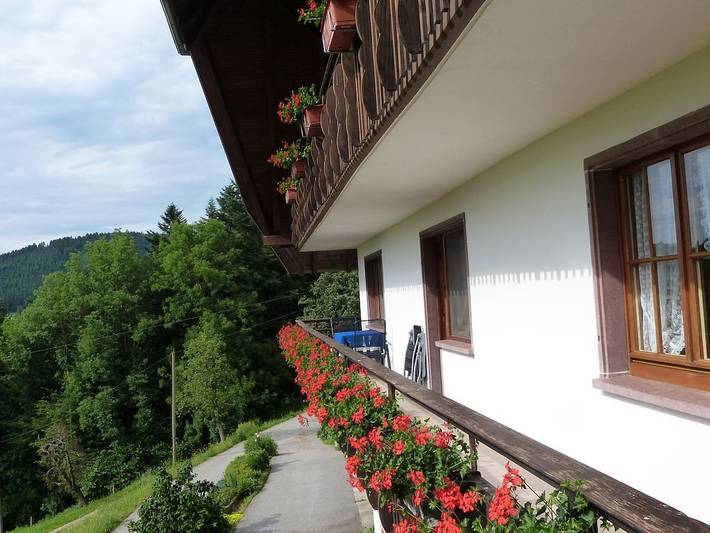 Ferienhaus für 6 Personen, mit Balkon und Terrasse in Zell am Harmersbach - 3