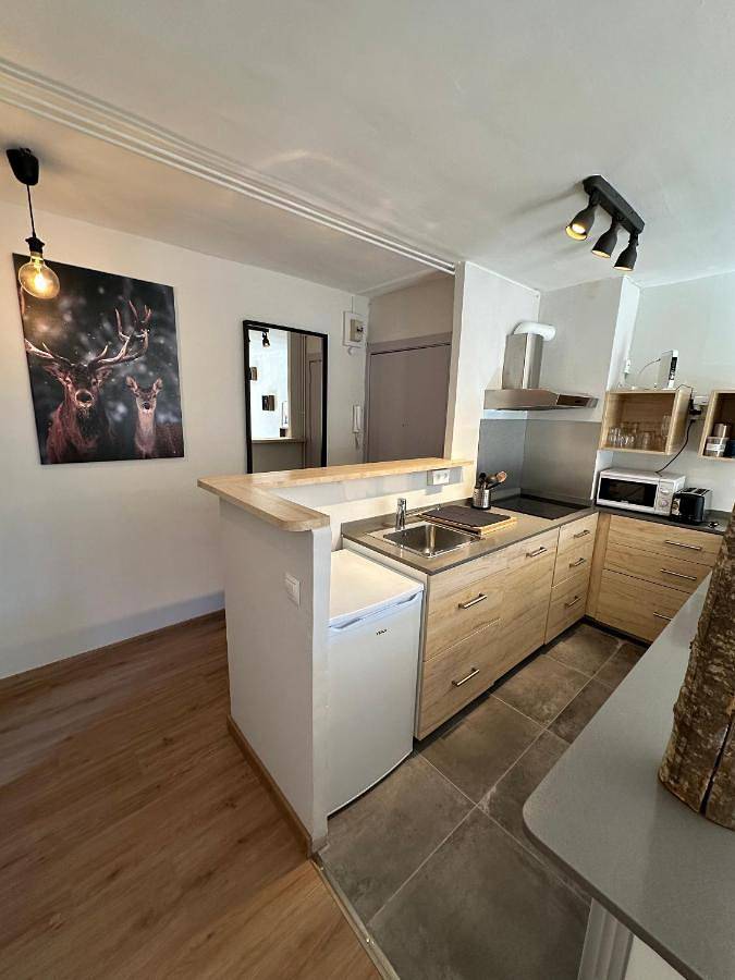 Gîte pour 6 personnes, avec vue et jardin à La Molina - 4