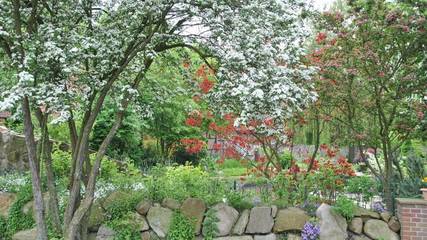 Ferienwohnung für 6 Personen in Lindwedel, Landkreis Heidekreis, Bild 3