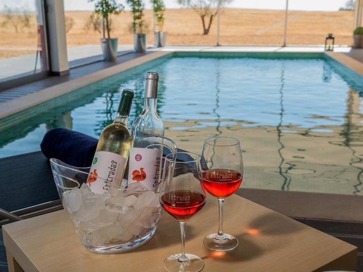 Location de vacances pour 6 personnes, avec piscine ainsi que vue et jardin, animaux acceptés à Castro Verde - 4