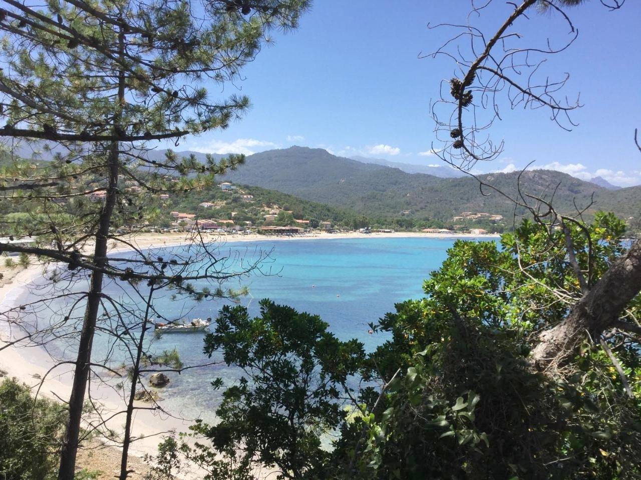 Résidence Playa Del'Oro in Favone, Conca
