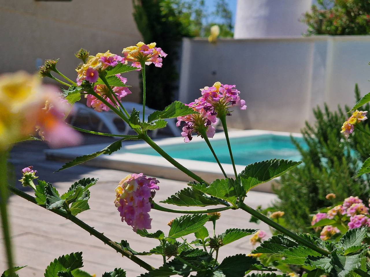 "Belmar"@Marisol: 400m zum Strand, Privat-Pool, A/C, Wifi, Hundestrand in Riumar, Delta de l'Ebre