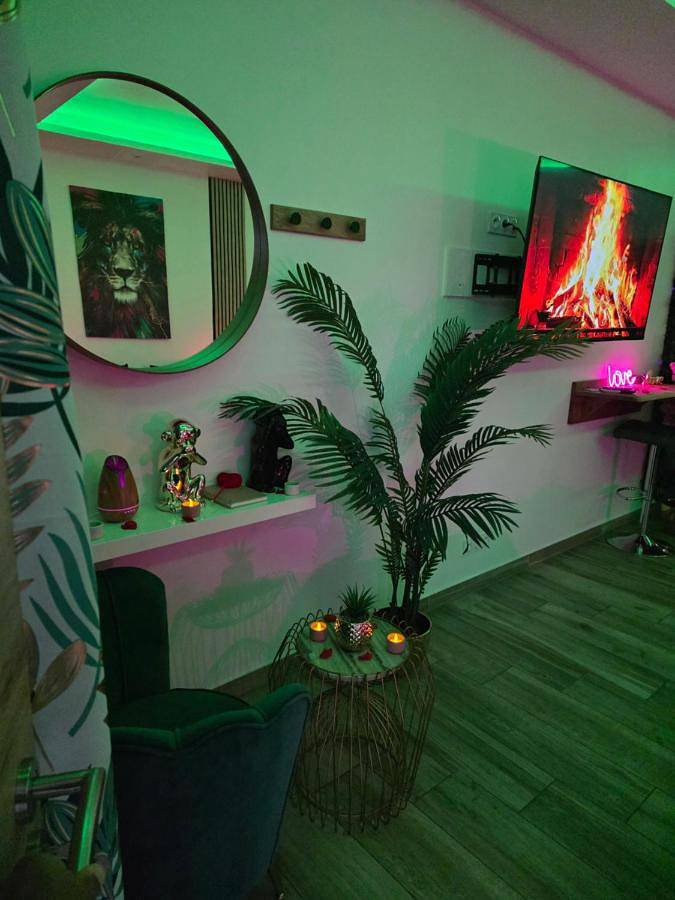 Gîte pour 2 personnes, avec jacuzzi à Lingolsheim - 2