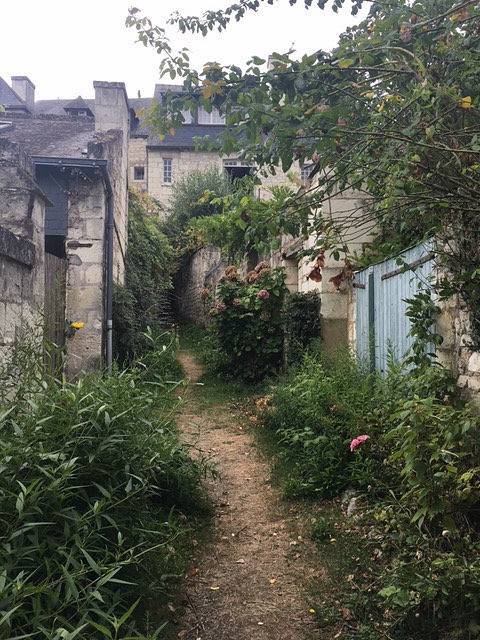 Gîte pour 4 personnes, avec terrasse et jardin à Candes-Saint-Martin