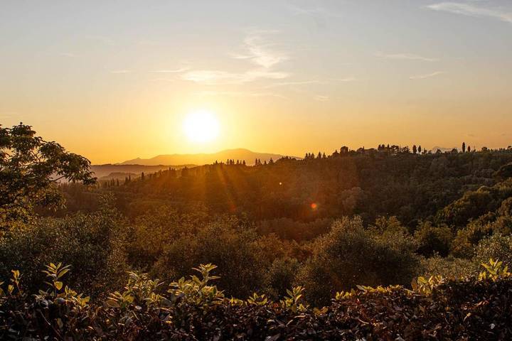 Maison d’hôte pour 2 personnes, avec jardin, animaux acceptés à San Miniato - 3