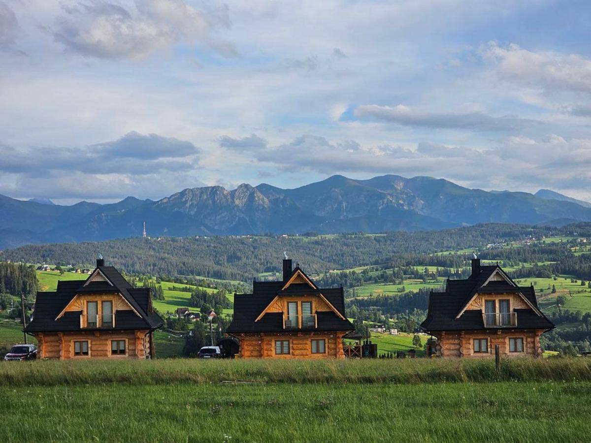 Alpine Chalet with Jacuzzi and Sauna in Karpaty (Polska)