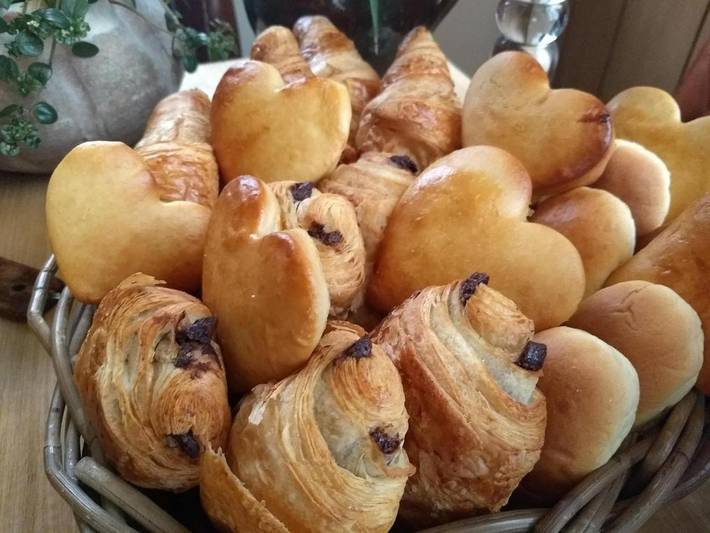 Chambre d’hôte pour 2 personnes, avec vue et jardin, animaux acceptés à Jabbeke - 3