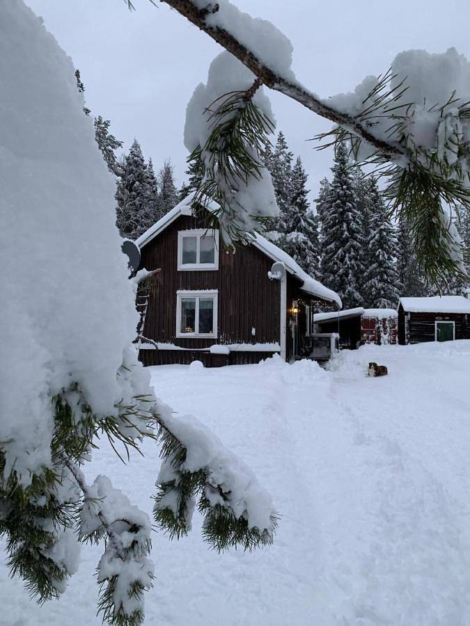 Ferienhaus für 2 Personen, mit Sauna und Terrasse in Lappland (Schweden)