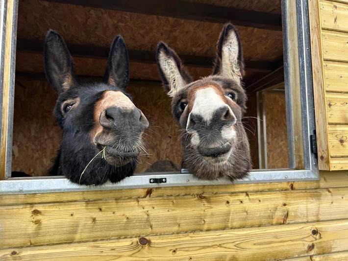 Location de vacances pour 5 personnes, avec vue et jardin, animaux acceptés à Condette - 2