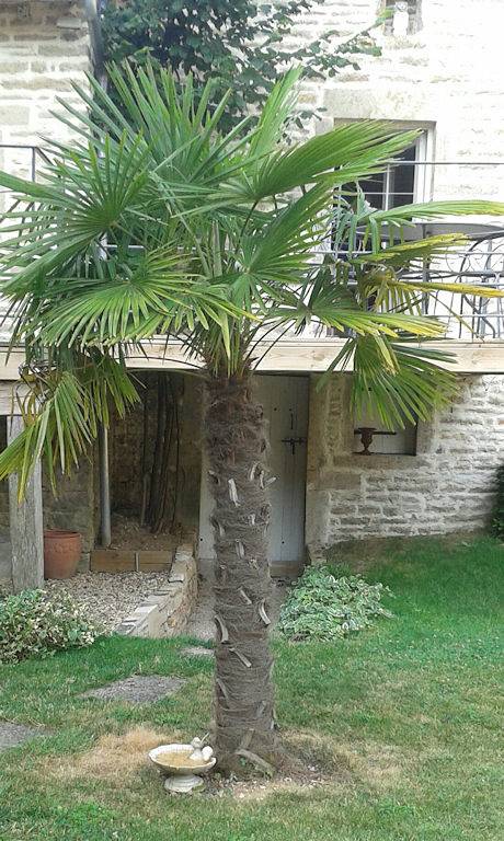 Chambre d’hôte pour 5 personnes, avec jardin dans Côte-d'Or - 2