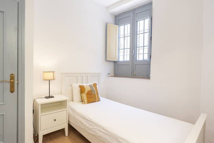 Entire apartment, Central Malaga 2 Bedroom in Málaga Central District, Malaga