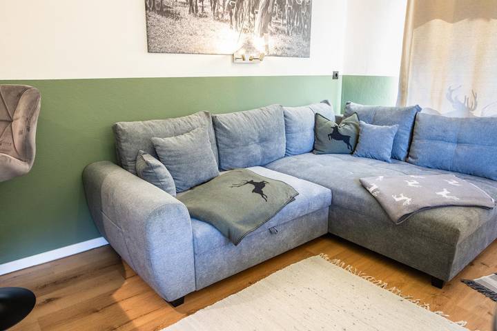 Ganze Ferienwohnung, Appartement zu Hollenau in Ellmau - SkiWelt, Going am Wilden Kaiser