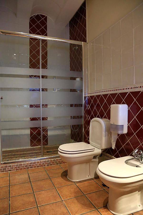 Apartamento de vacaciones para 4 personas, con jardín además de piscina y vistas, Se admiten mascotas en Provincia de Ciudad Real - 4