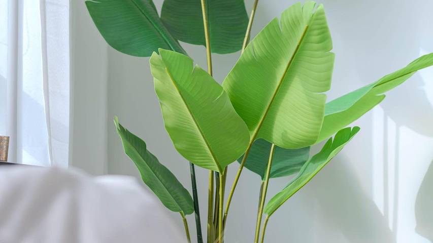 Ferienwohnung für 2 Personen, mit Balkon in Schleswig - 3