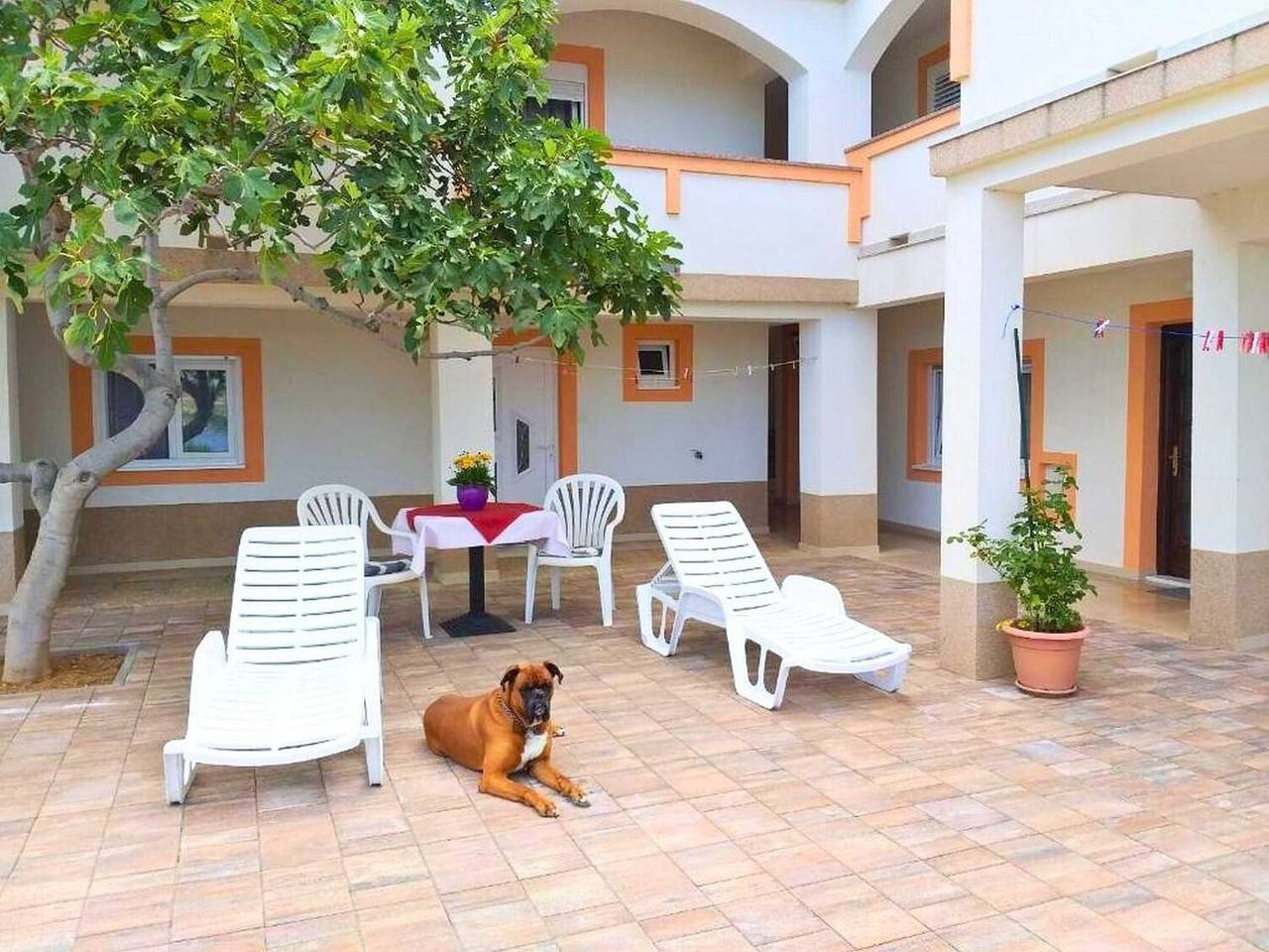 Cały apartament, Apartments Poolhouse in Metajna, Pag (Wyspa)