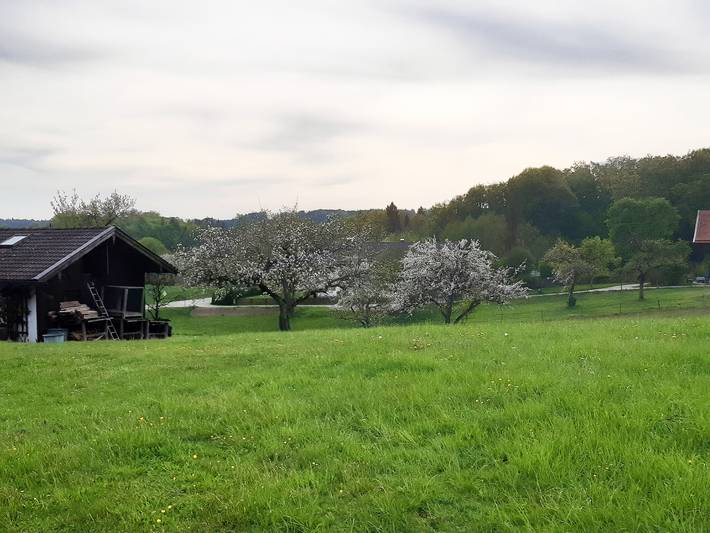 Gîte pour 4 personnes, avec jardin et balcon, animaux acceptés dans Eggstatt - 4