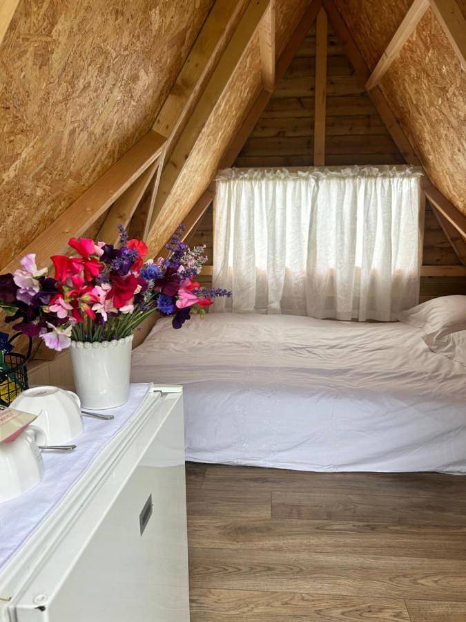 Tent in Shropshire