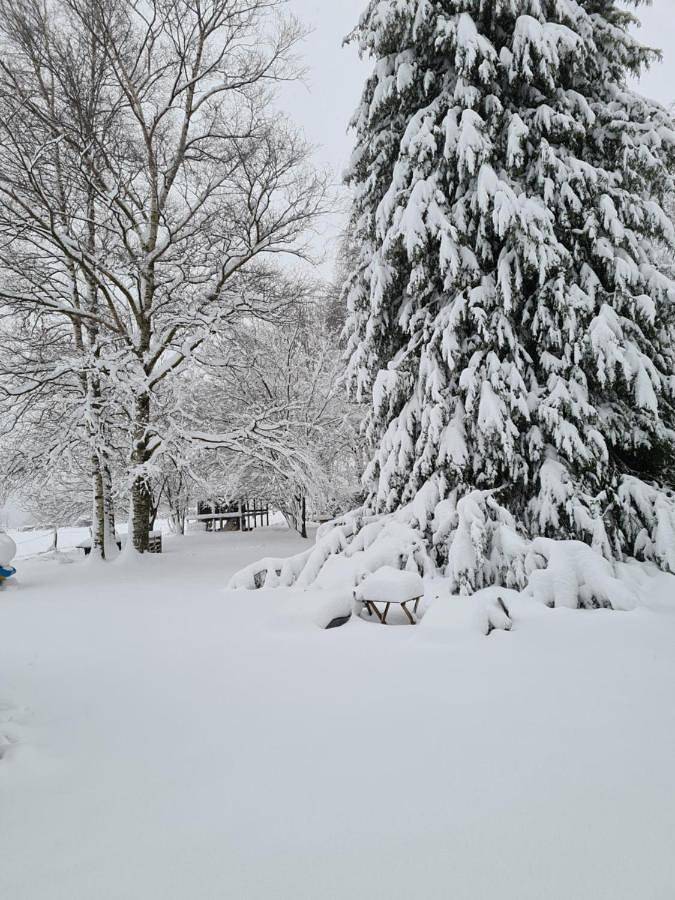 Chambre d’hôte pour 2 personnes, avec jardin et vue à Jalhay - 4