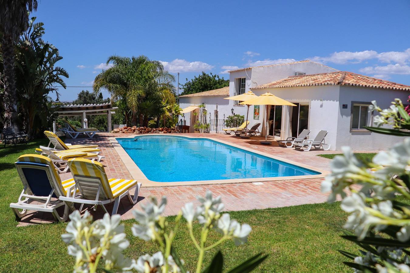 Idyllic Farm House with huge Garden for 14Pax in Loulé (São Clemente), Faro Distrikt