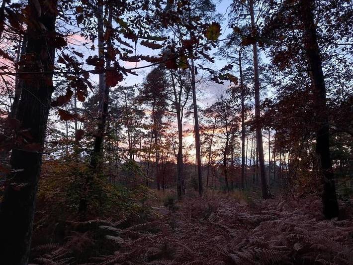 Location de vacances pour 5 personnes, avec terrasse à Veneux-les-Sablons - 2