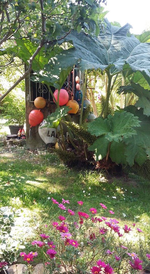 Chambre d’hôte pour 3 personnes, avec jardin dans le Finistère - 2