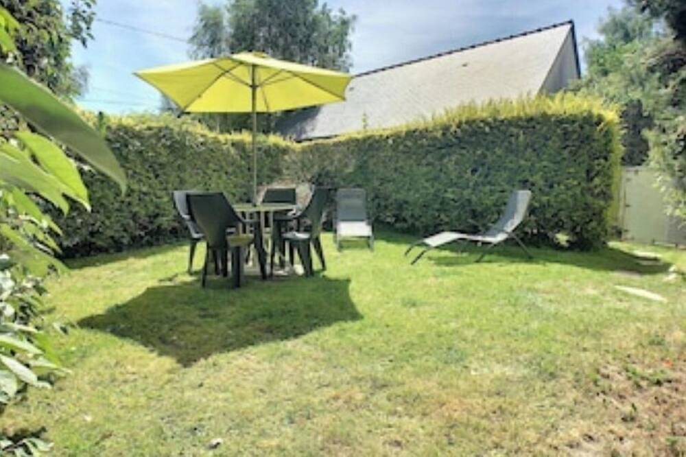 Ajonc, Bord De Mer Et Cote Sauvage in Saint-Coulomb, Saint-Malo region